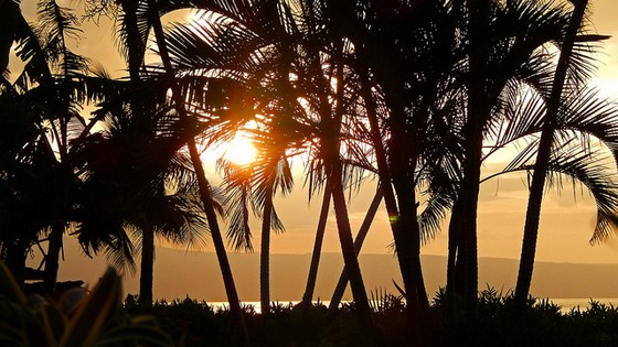 edmund garman kaanapali silhouette 2