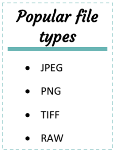 popular file types.jpg